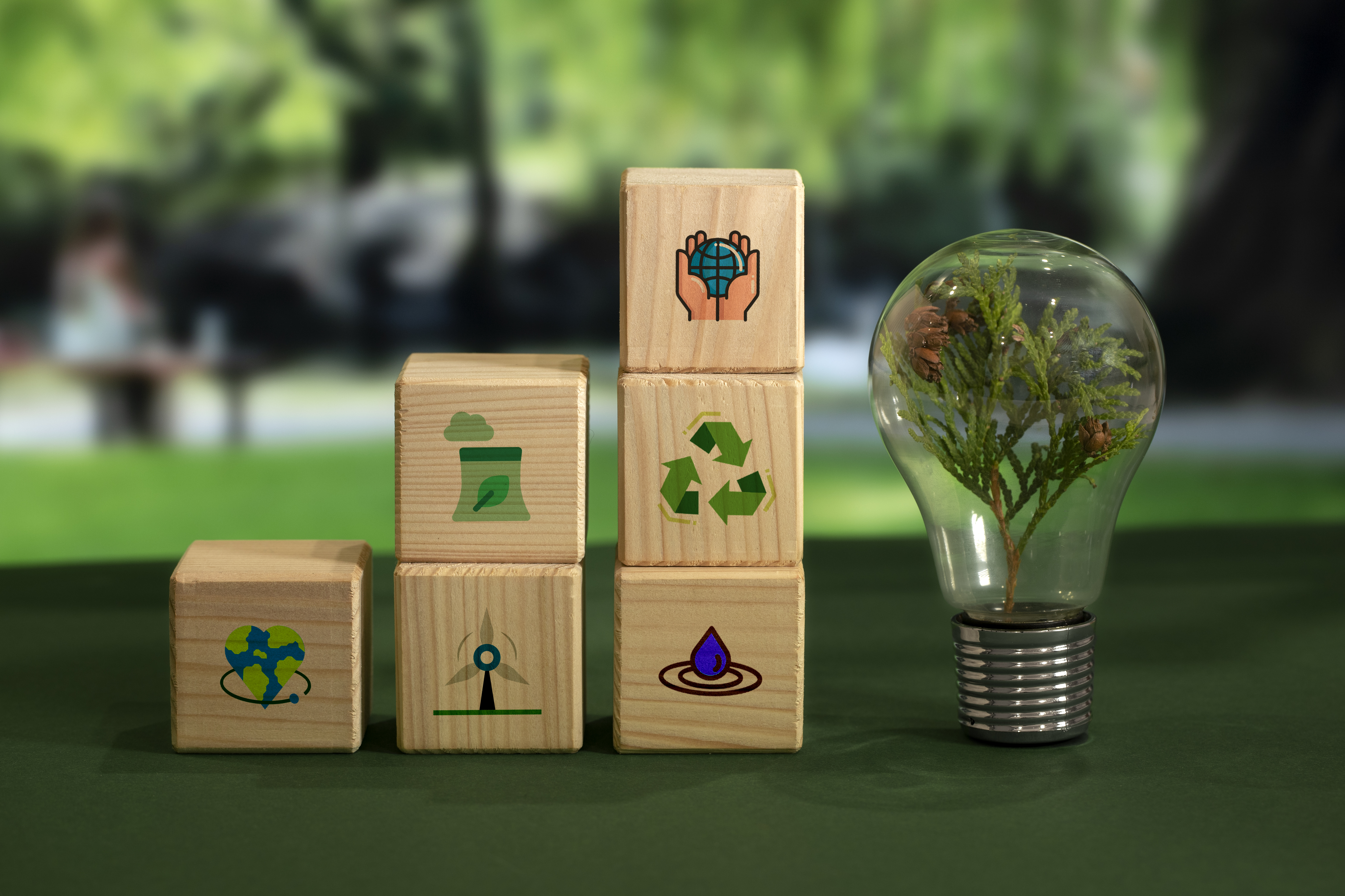 Sustainability Initiatives